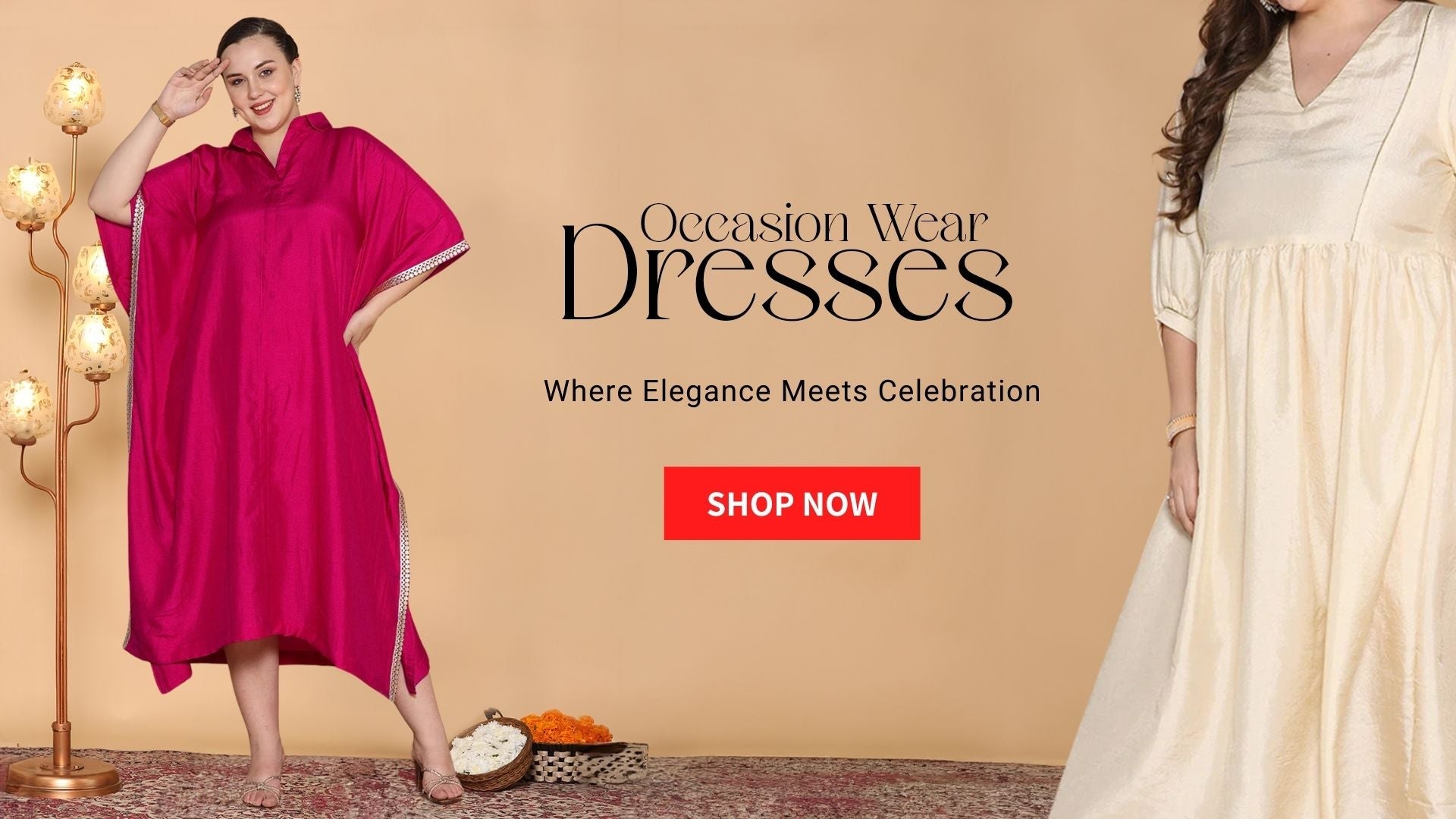 Occasion Wear Dresses